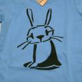 Hase